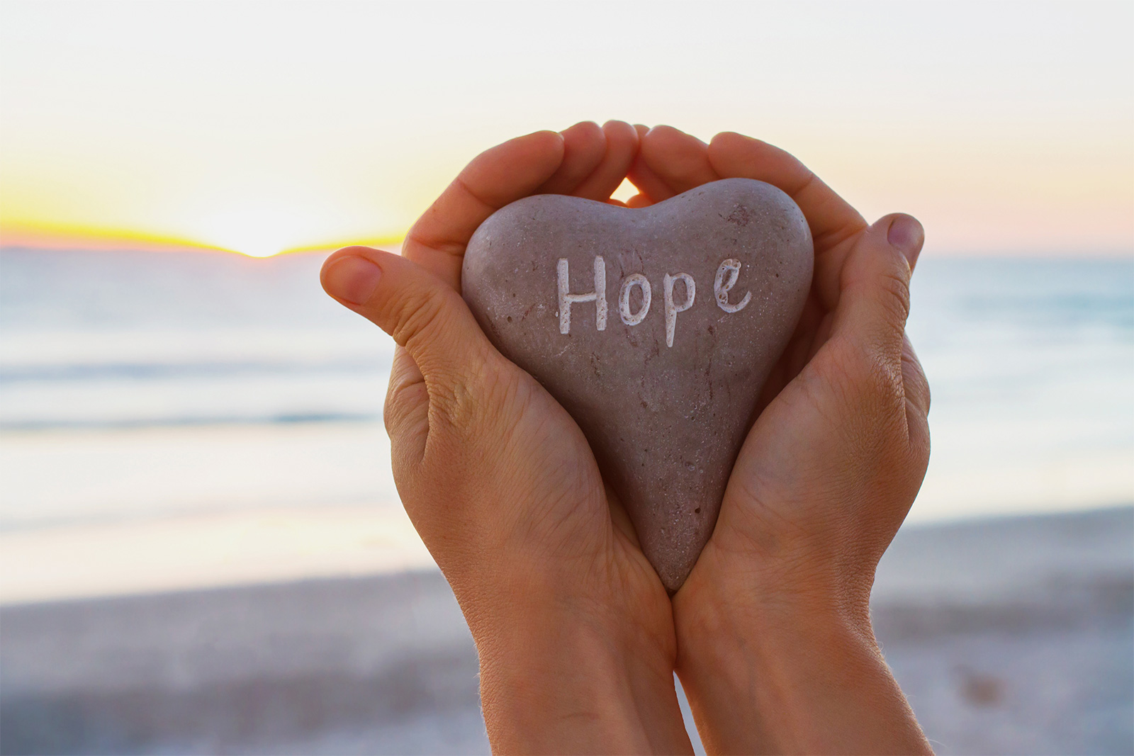 Hope Sheds Light - Hope Partners
